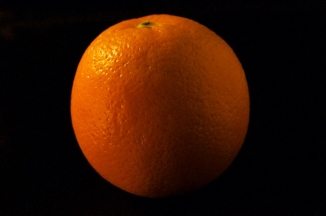 Light box studio photograph of an orange
